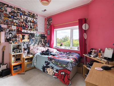 Picture 13